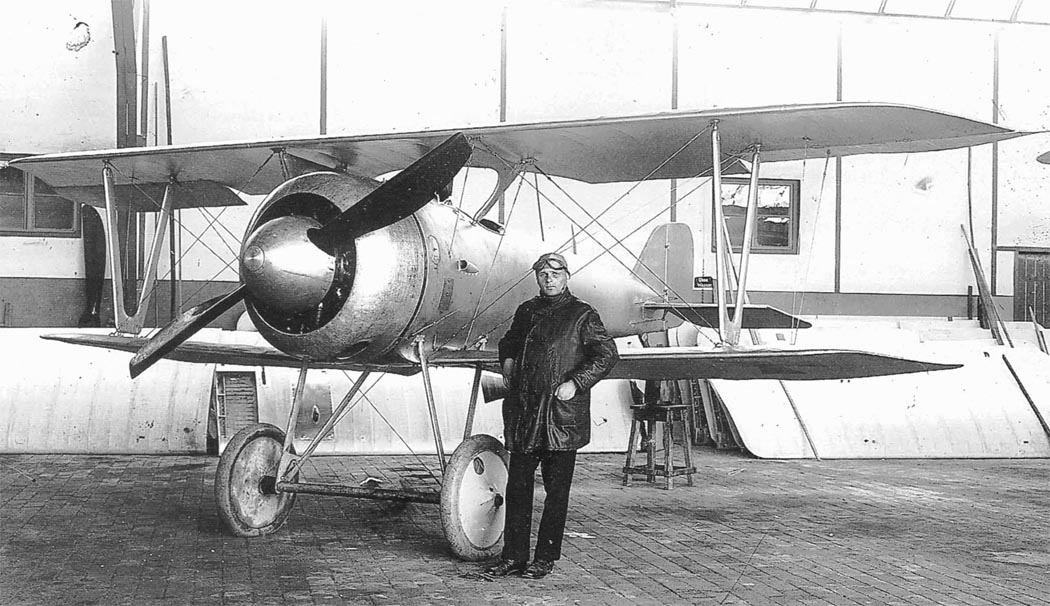 Pfalz D.VI