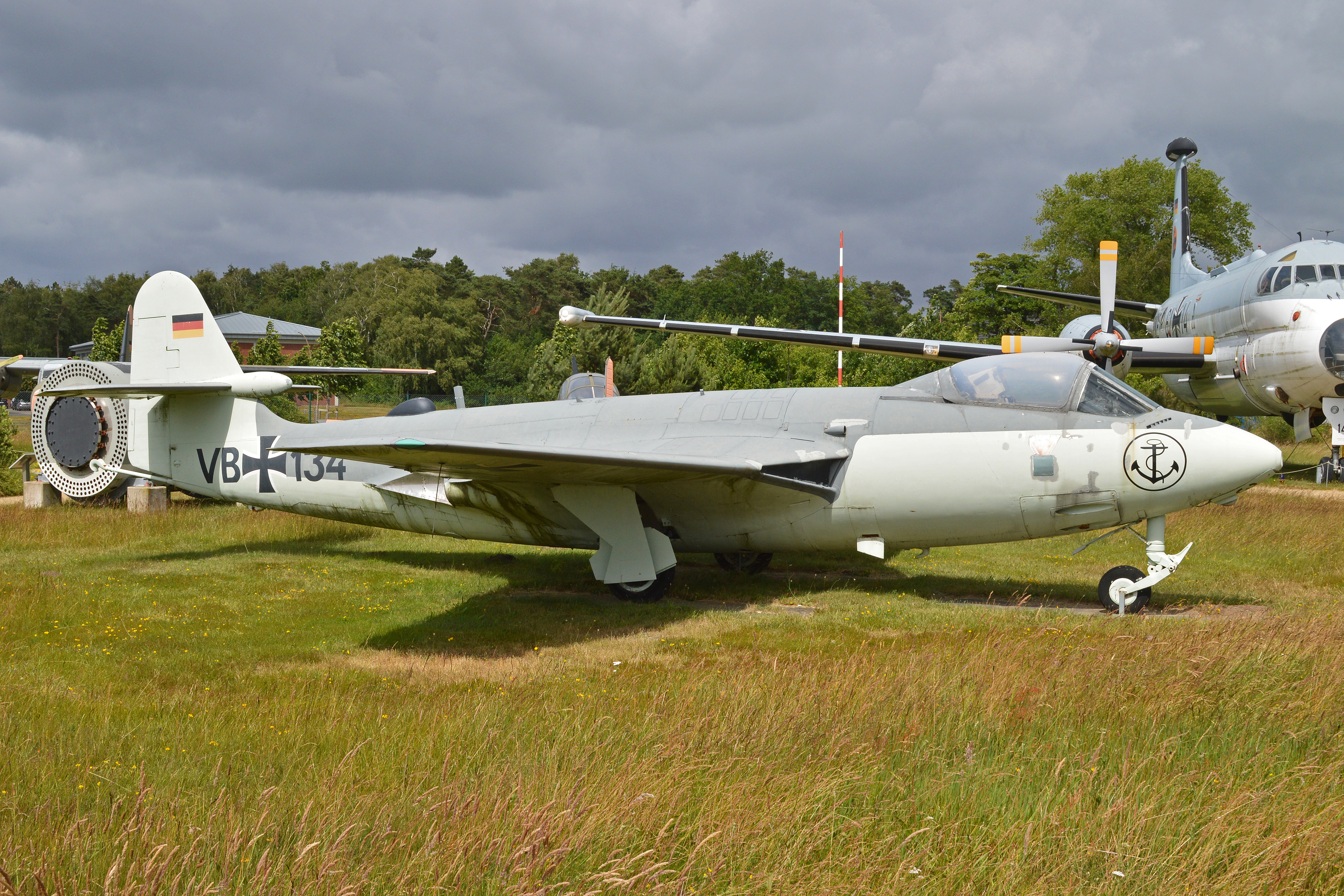 Hawker Sea Hawk Mk.100