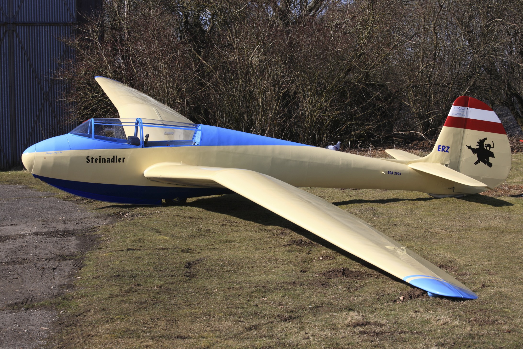 Oberlerchner Mg 19 Steinadler