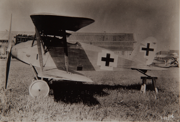 Albatros D.XII